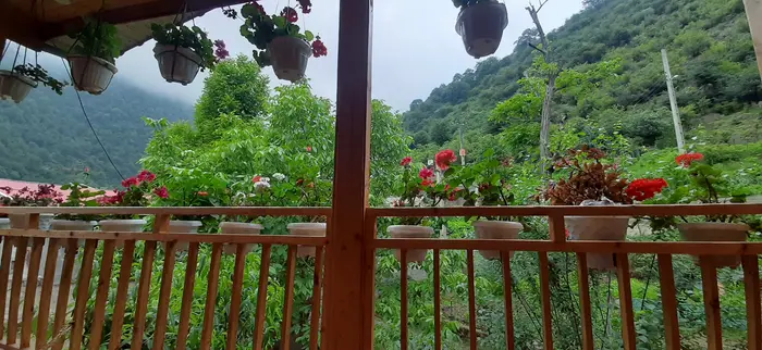 کلبه دوخوابه چوبی گل تاج شالما - ویو