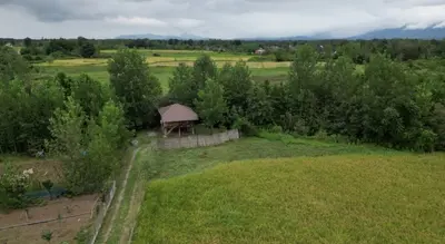 کلبه فلت چوبی افرا