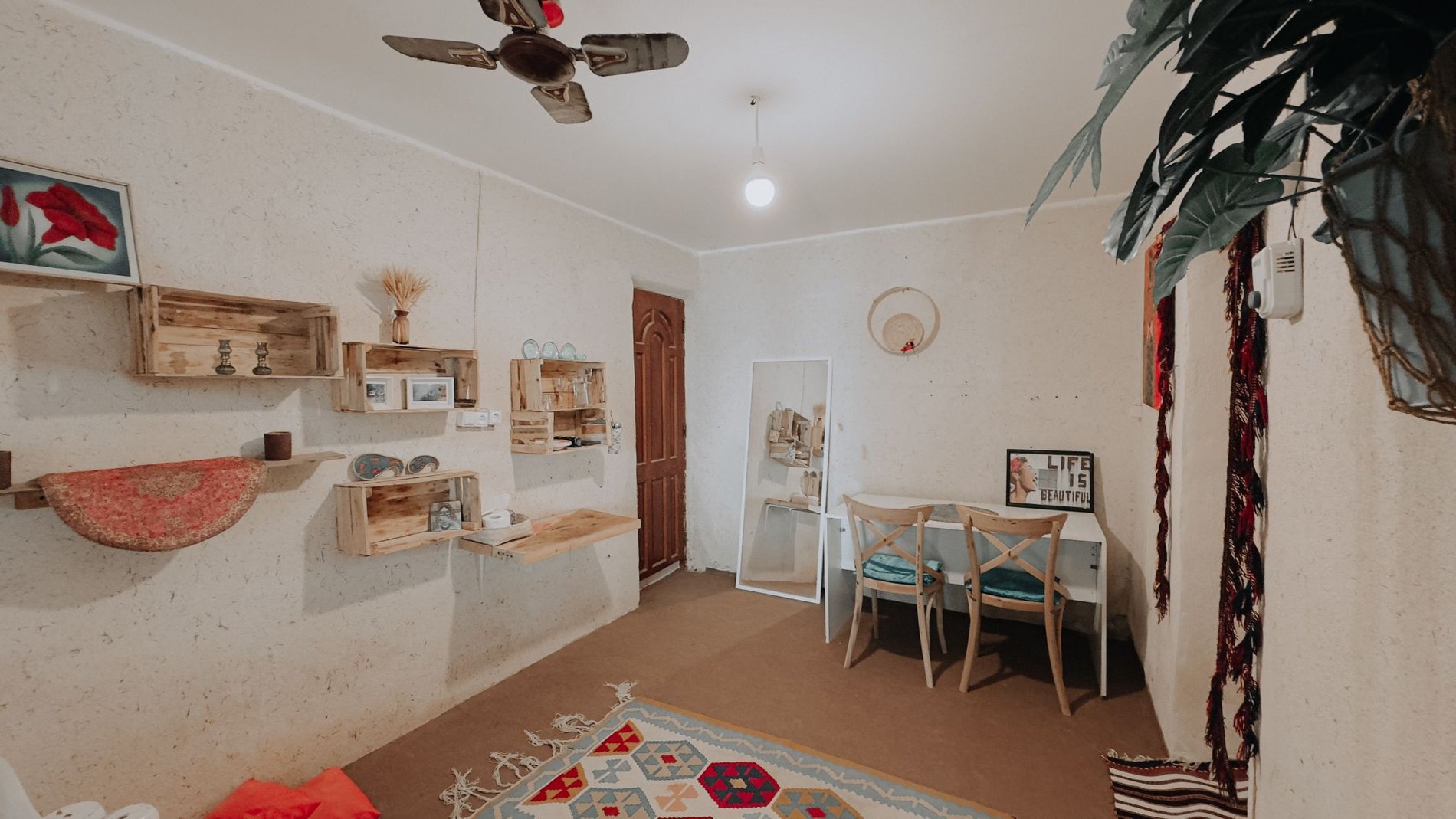 فلت ساحلی چیسکو