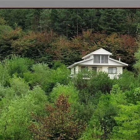 ویلا دوخوابه جنگلی سیلو