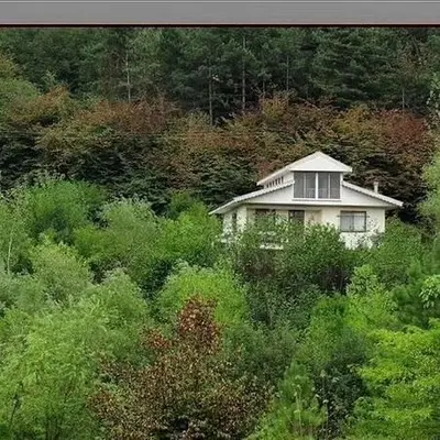 ویلا دوخوابه جنگلی سیلو