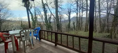 بومگردی ویشه راش - واحد 1