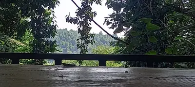 بومگردی ویشه راش - واحد 2