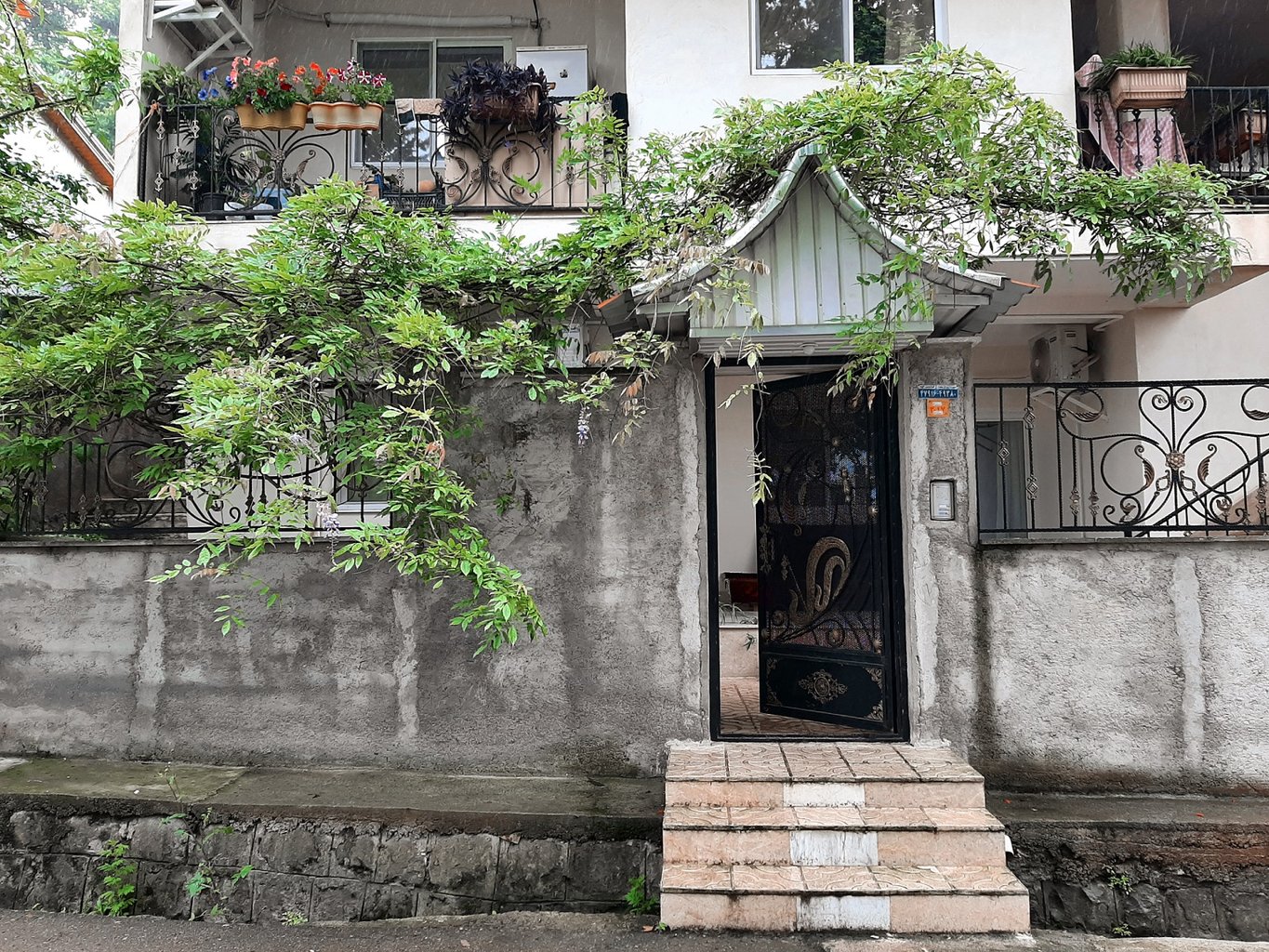 فلت آزادمهر