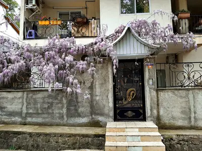 سوئیت فلت آزادمهر ۲