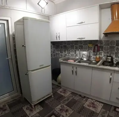 بومگردی دوگ دلارام - واحد ساحل