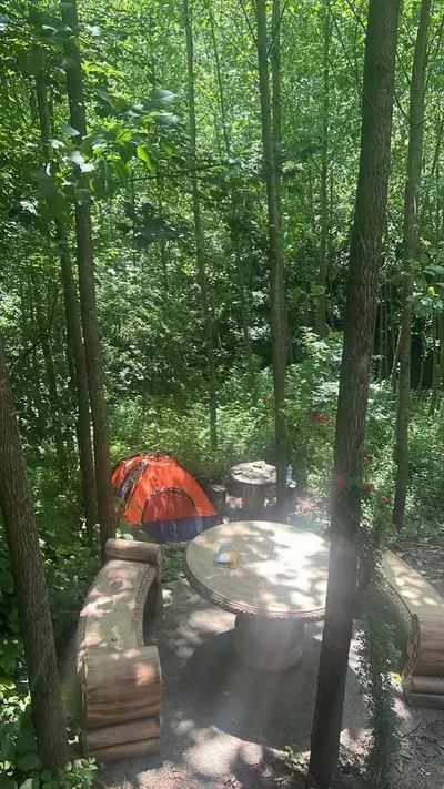 ویلا یک خوابه جنگلی جوارم 2