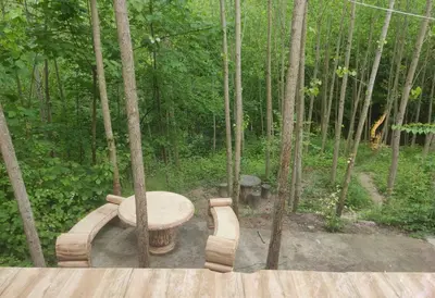 ویلا یک خوابه جنگلی جوارم 2