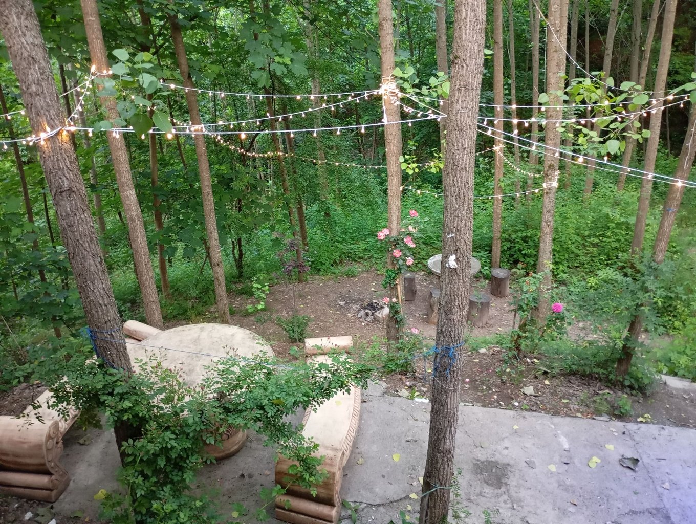 ویلا یک خوابه جنگلی جوارم 2