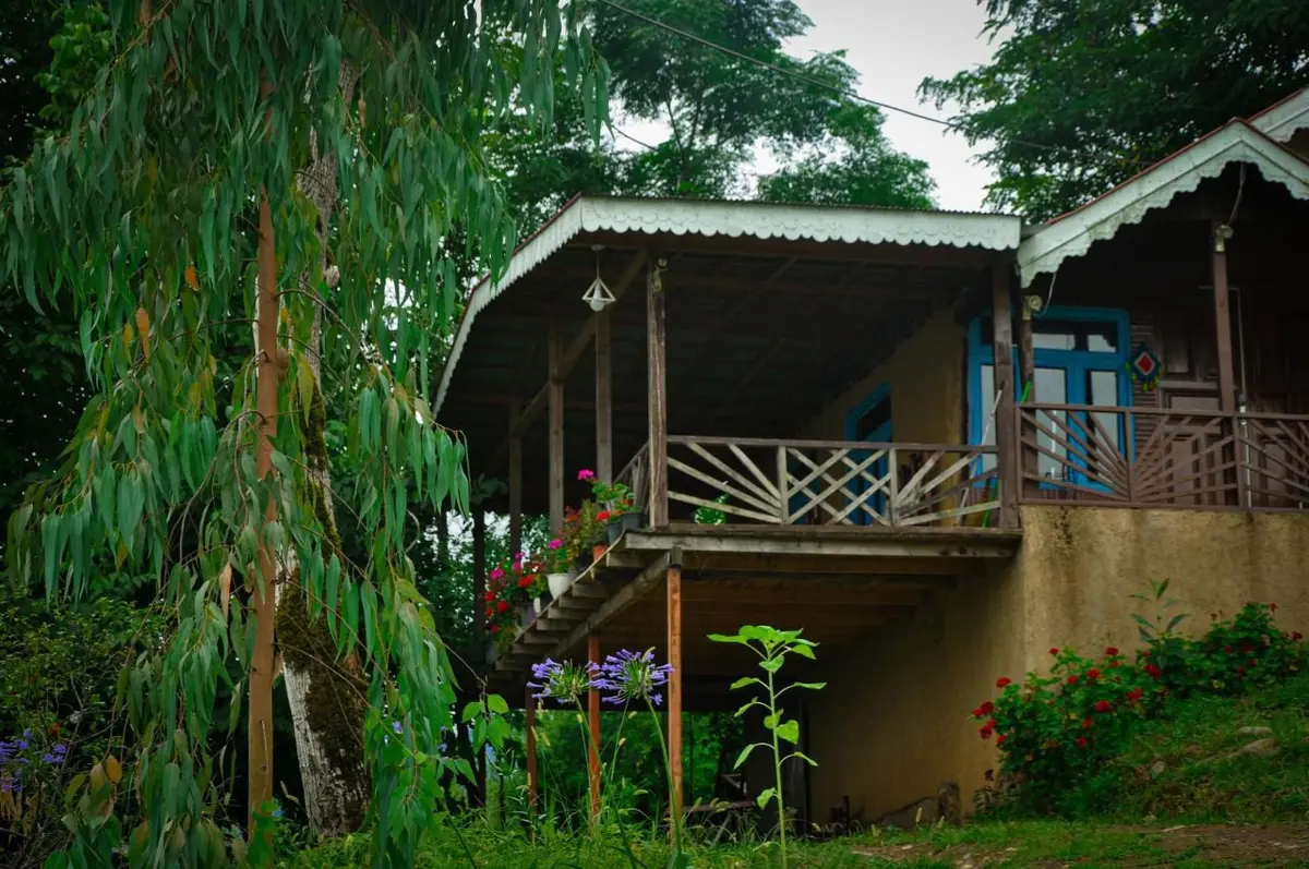 کلبه یک خوابه جنگلی بهشت 11