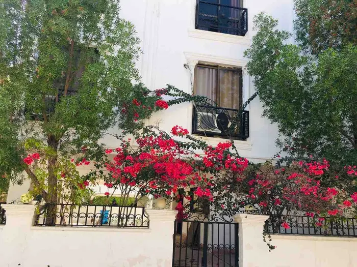 دوخوابه دارا ۲