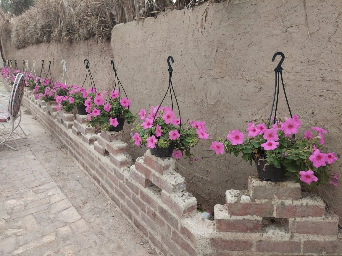 بومگردی کلوت حرفه ای شهداد - واحد 12