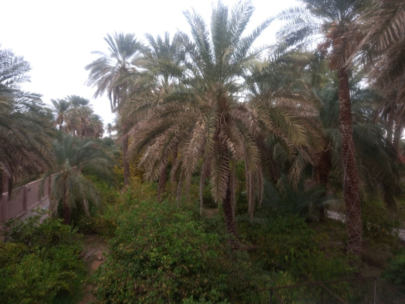 کلوت حرفه ای شهداد - واحد 16