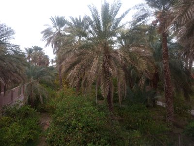 اقامتگاه سنتی کلوت حرفه ای شهداد - واحد 16