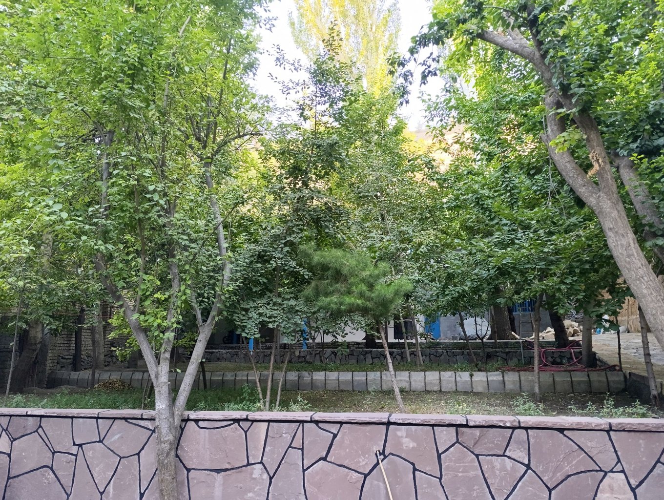 ویلا یک خوابه جنگلی بهشت طرقبه - حیاط باغ