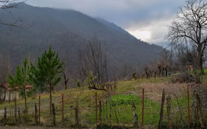 کلبه یک خوابه چوبی خوروم