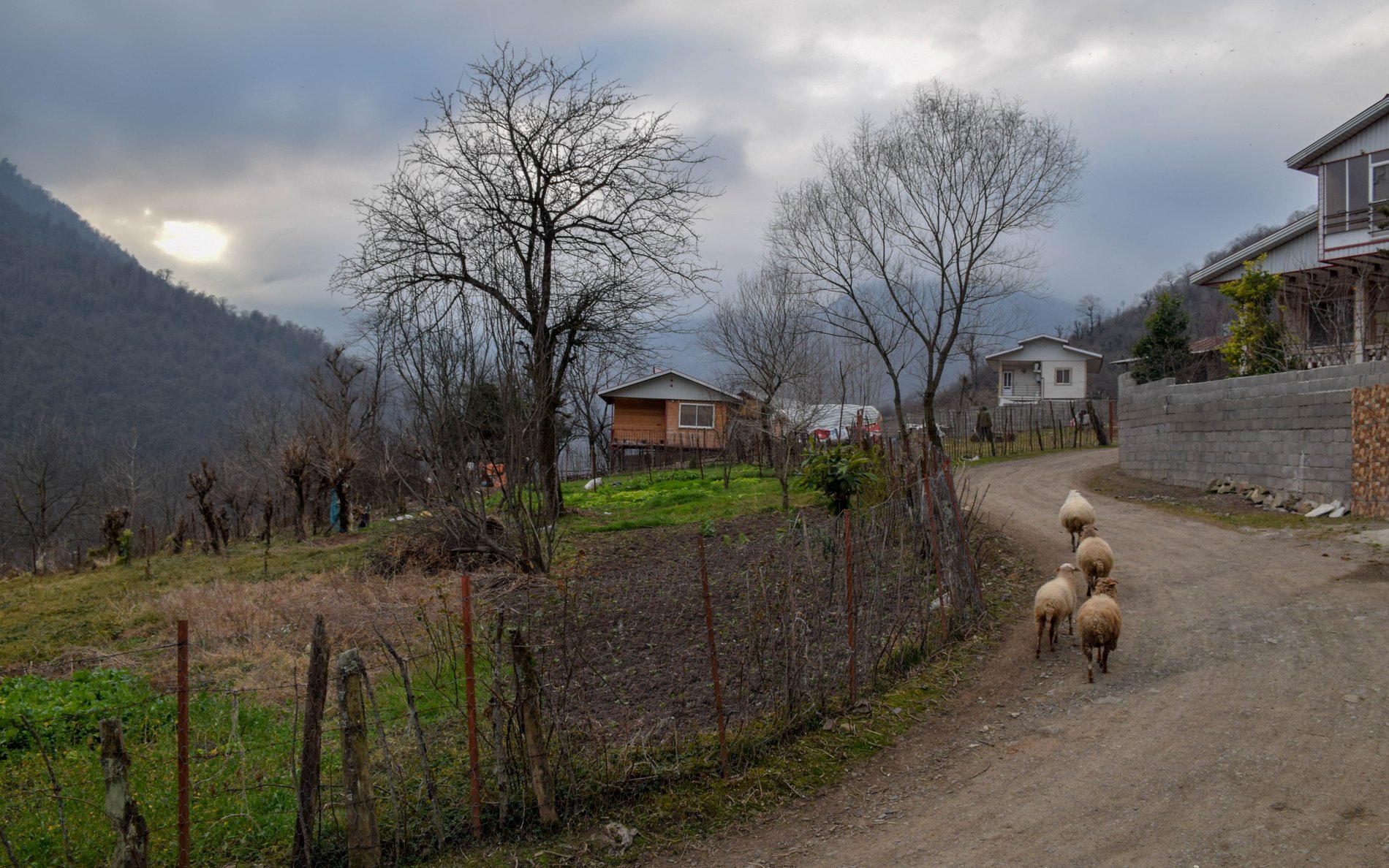 یک خوابه چوبی خوروم