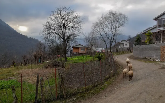 کلبه یک خوابه چوبی خوروم