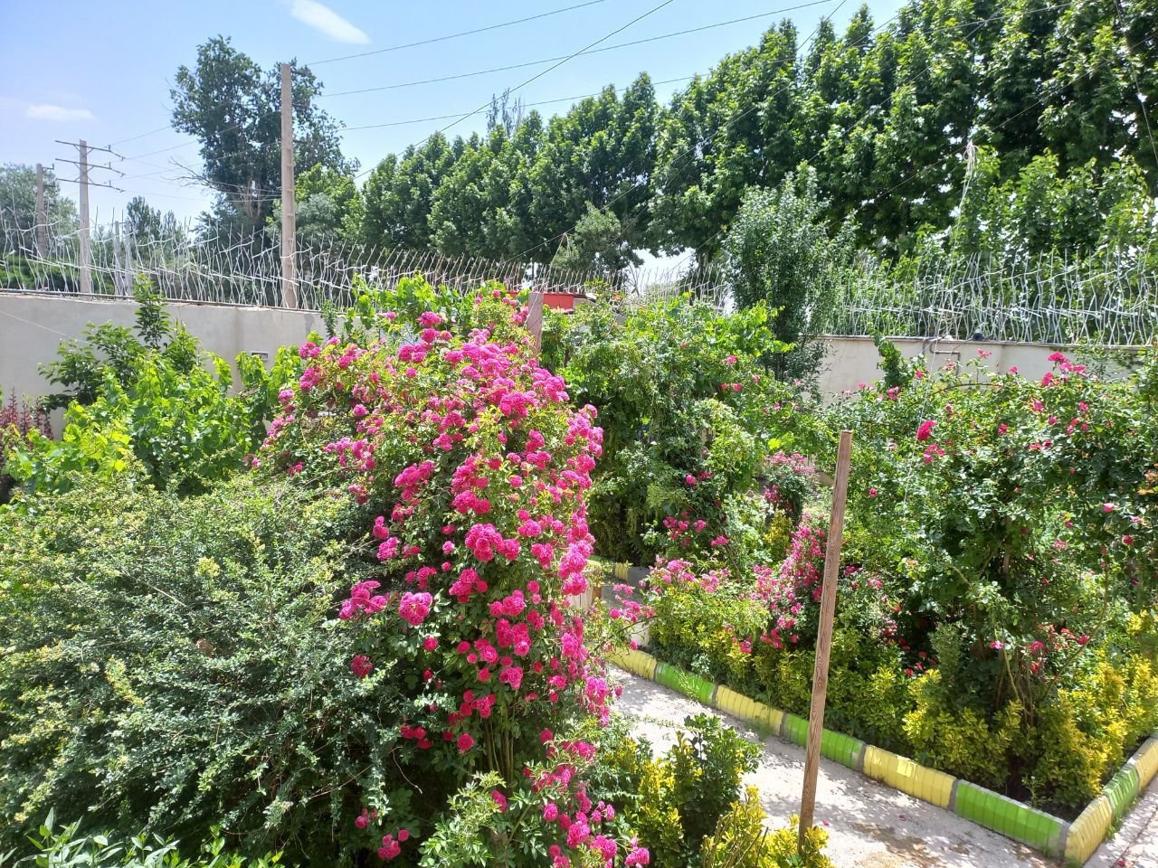 دوخوابه استخردار بلوار کشاورز4