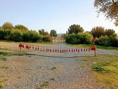 بومگردی عشایری بویاق - آغ چادر غریب و صنم