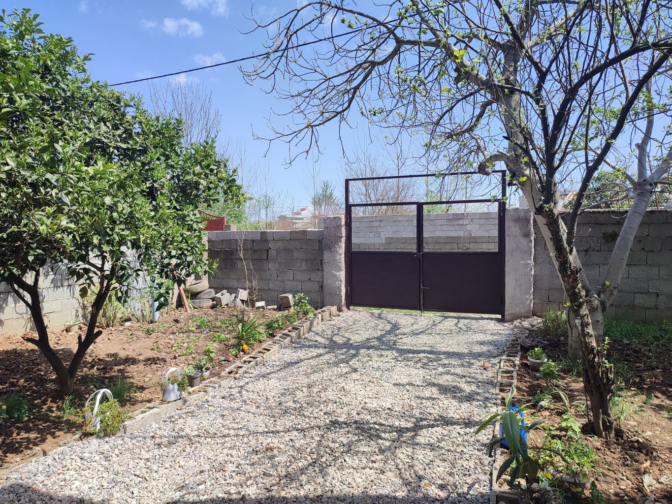 سوئیت فلت بام سبز