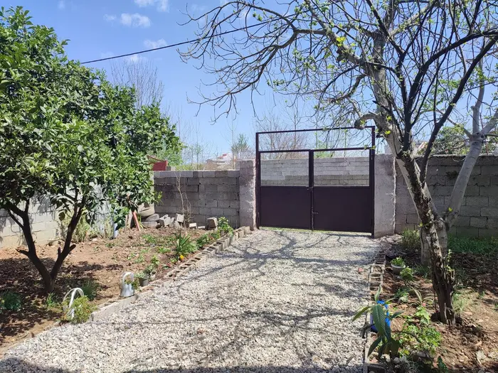 سوئیت فلت بام سبز