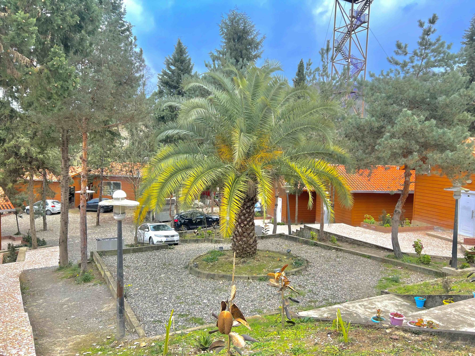 فلت سد شیاده جانان۲