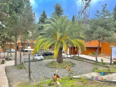 کلبه فلت سد شیاده جانان۲