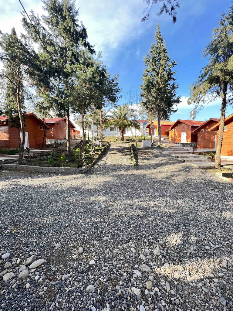 فلت سد شیاده جانان۲