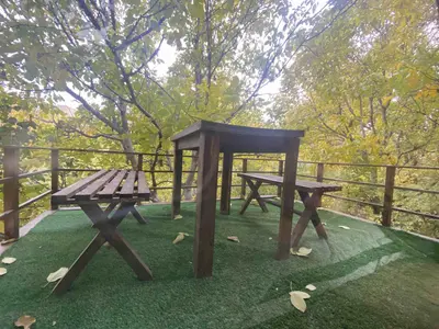 بومگردی برادران یحیی واحد افرودیته