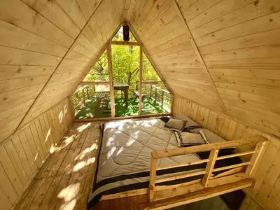 بومگردی برادران یحیی واحد افرودیته