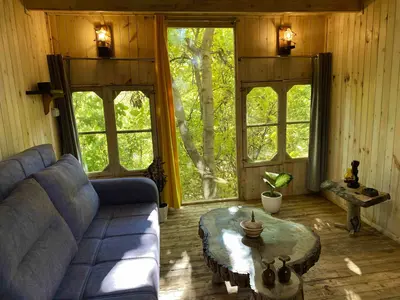 بومگردی برادران یحیی واحد افرودیته