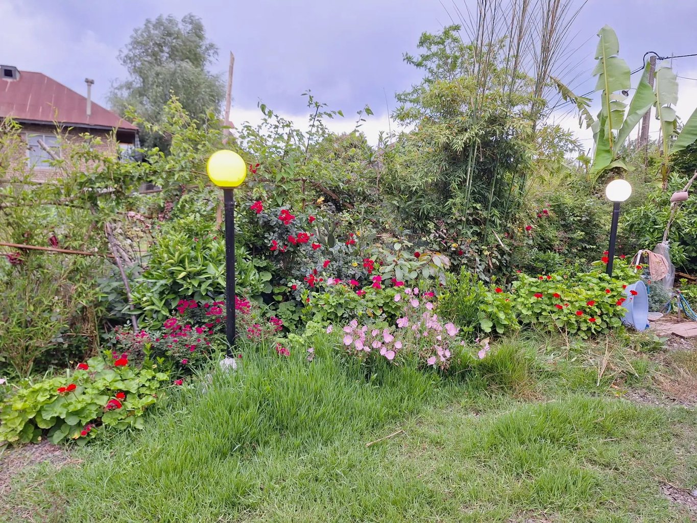 ویلا خانه ساحلی حومه لاهیجان