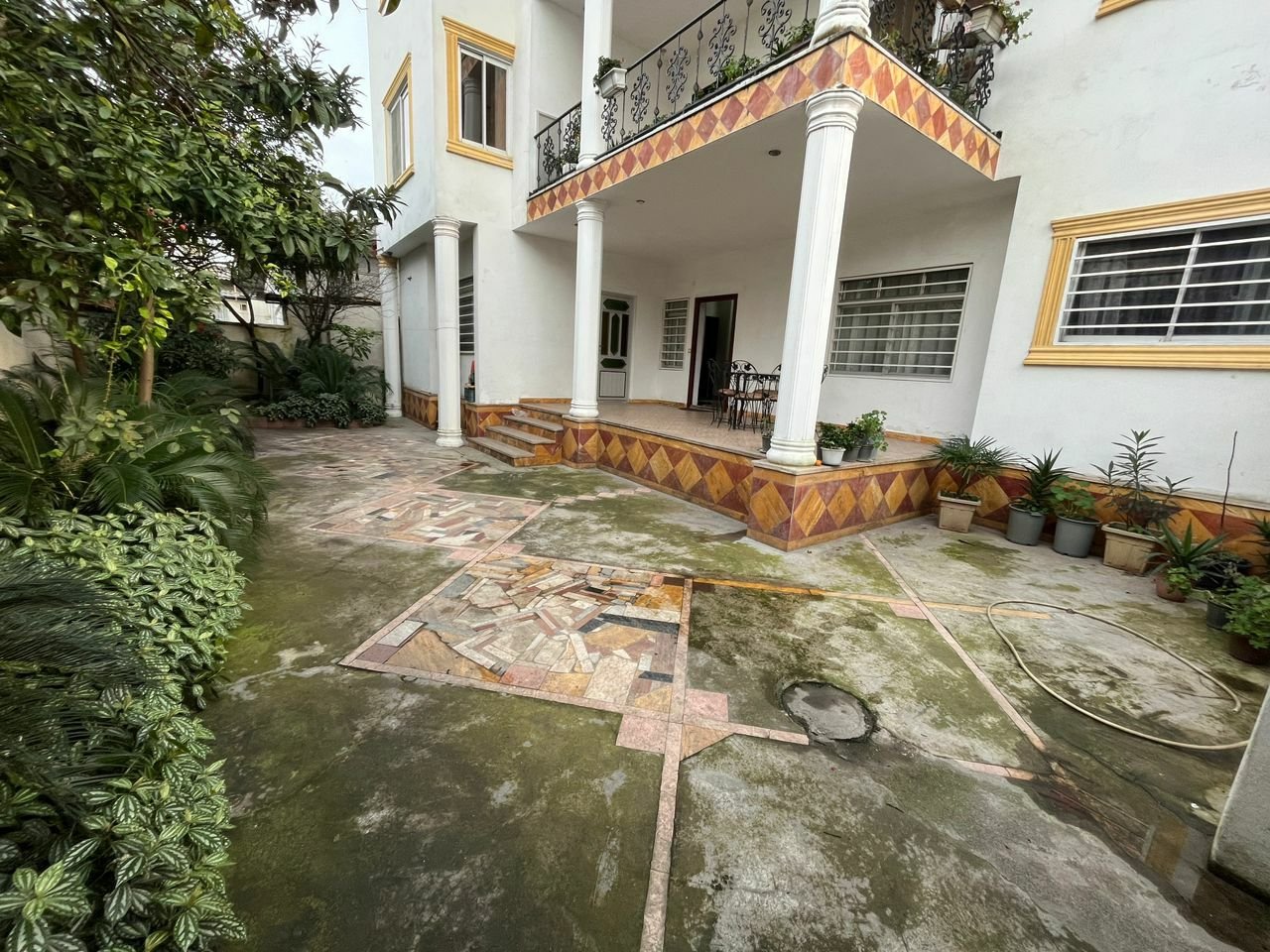 دوخوابه گل 1