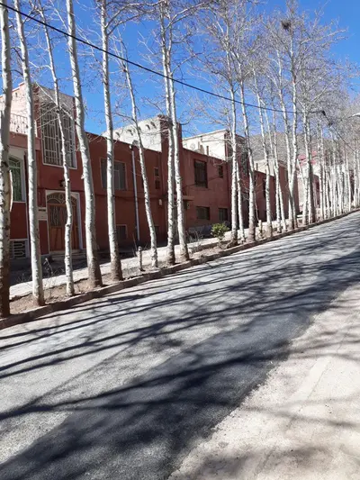 اقامتگاه سنتی هینزا واحد - 6