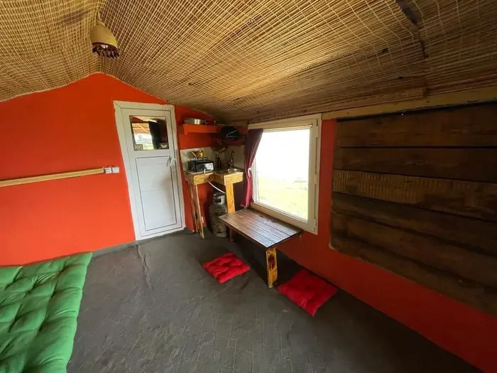 فلت چوبی راش