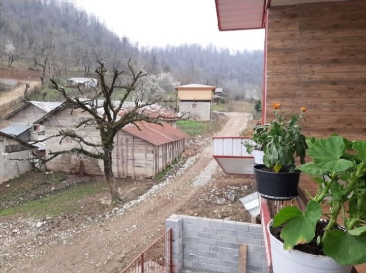 یک خوابه جنگلی سیاهدول