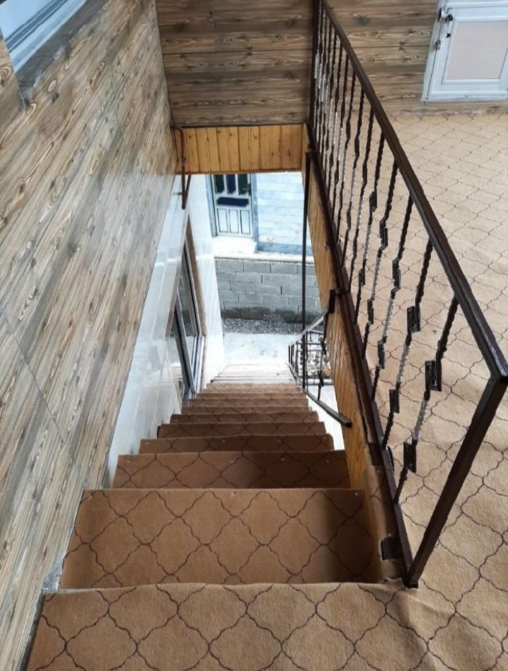 یک خوابه جنگلی سیاهدول