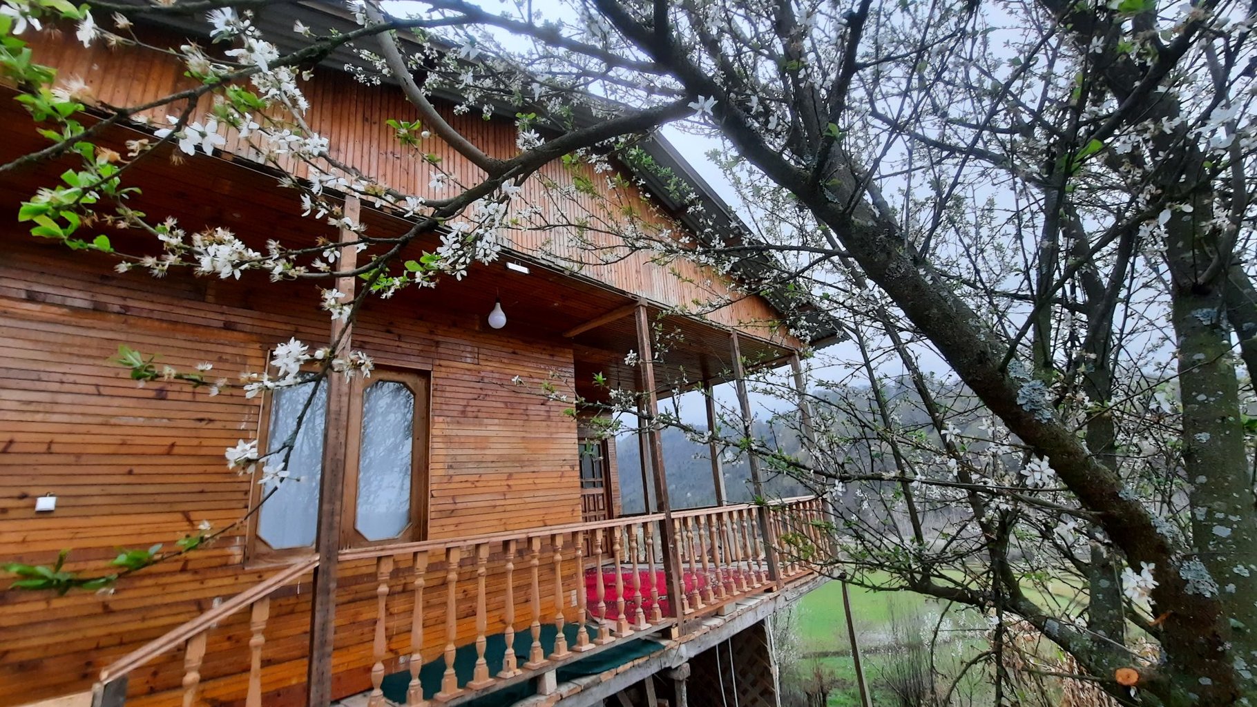 یک خوابه باغ وَنوشِه