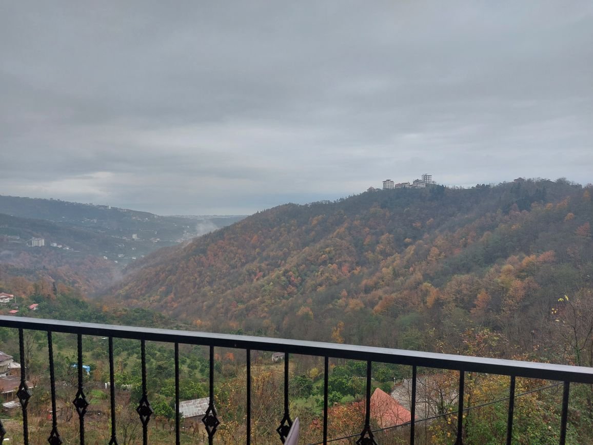 یک خوابه جنگلی نسیم دالخانی