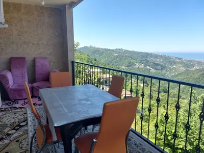 آپارتمان یک خوابه جنگلی نسیم