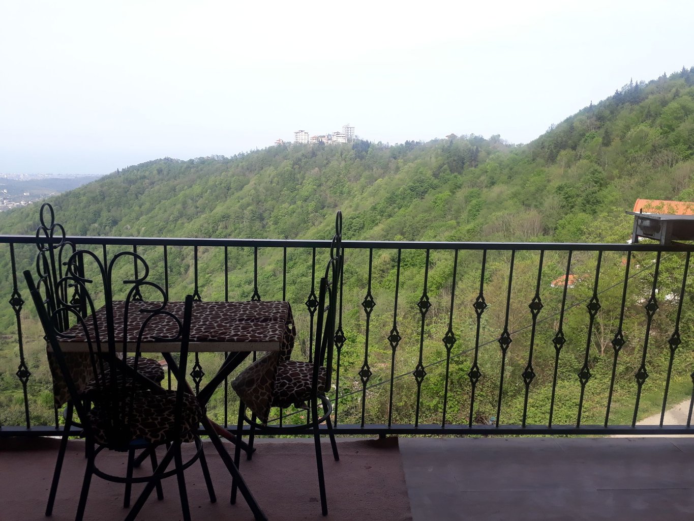 آپارتمان یک خوابه جنگلی نسیم دالخانی