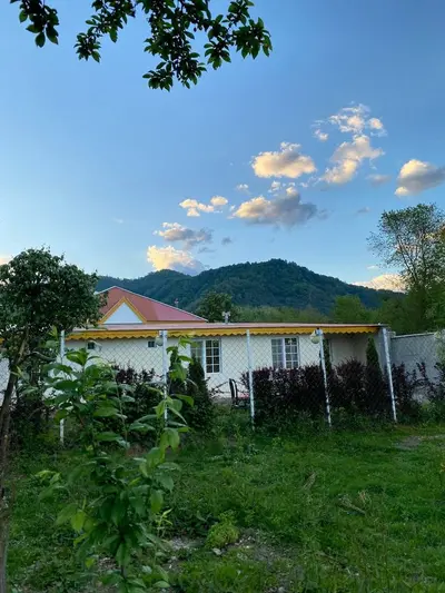 سوئیت یک خوابه جنگلی باران 9