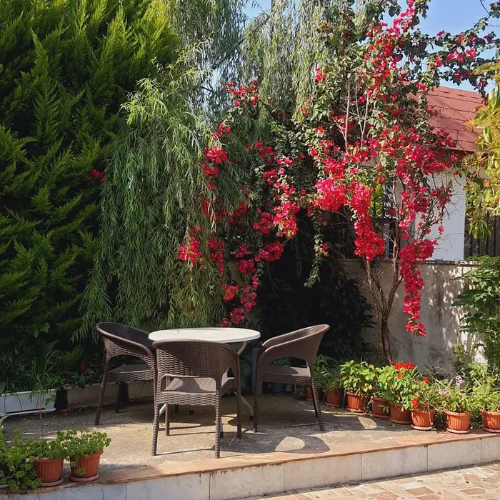 ویلا دوخوابه آووکادو - حیاط ویلا