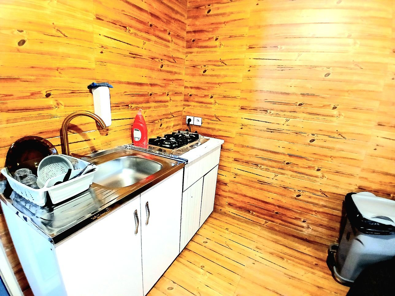 یک خوابه سویسی زنبق