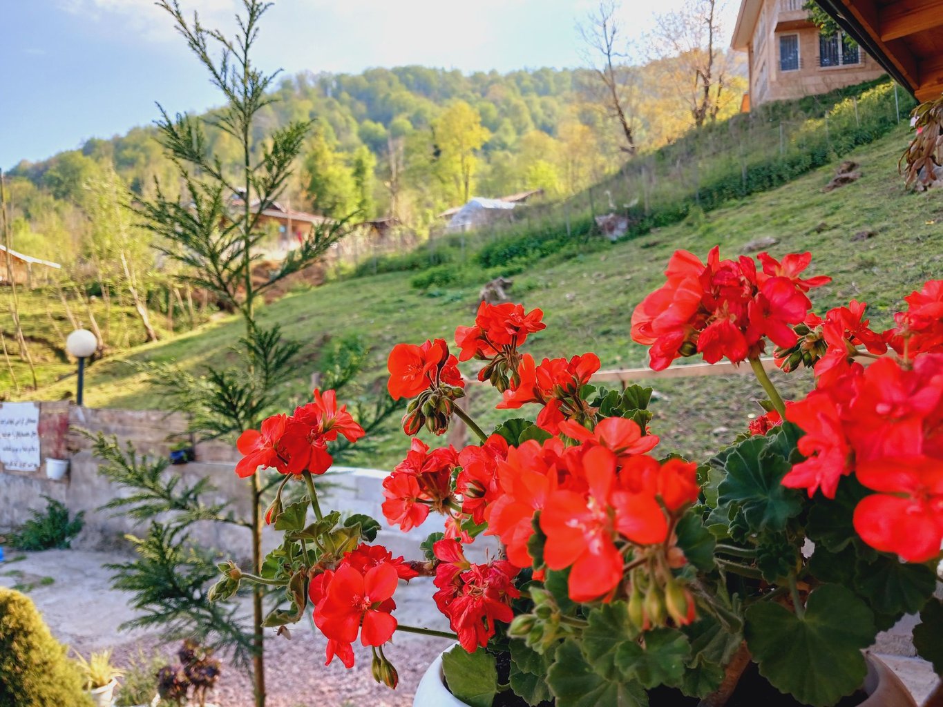 کلبه یک خوابه چوبی کوهستان 1