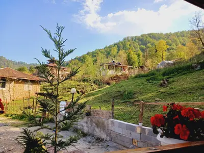 کلبه یک خوابه چوبی کوهستان 1