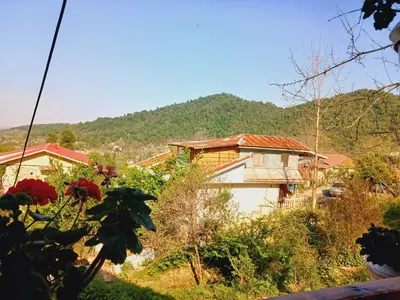 کلبه یک خوابه چوبی کوهستان 1