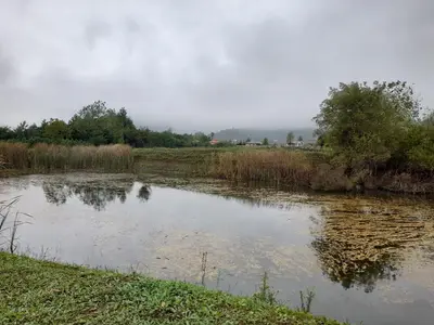 ویلا دوخوابه لیپا