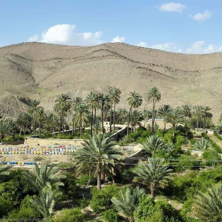 اقامتگاه سنتی باغ سلیمان - واحد آفتاب